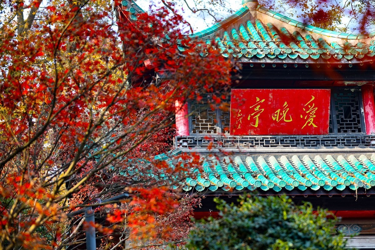 霜叶红于二月花--爱晓亭