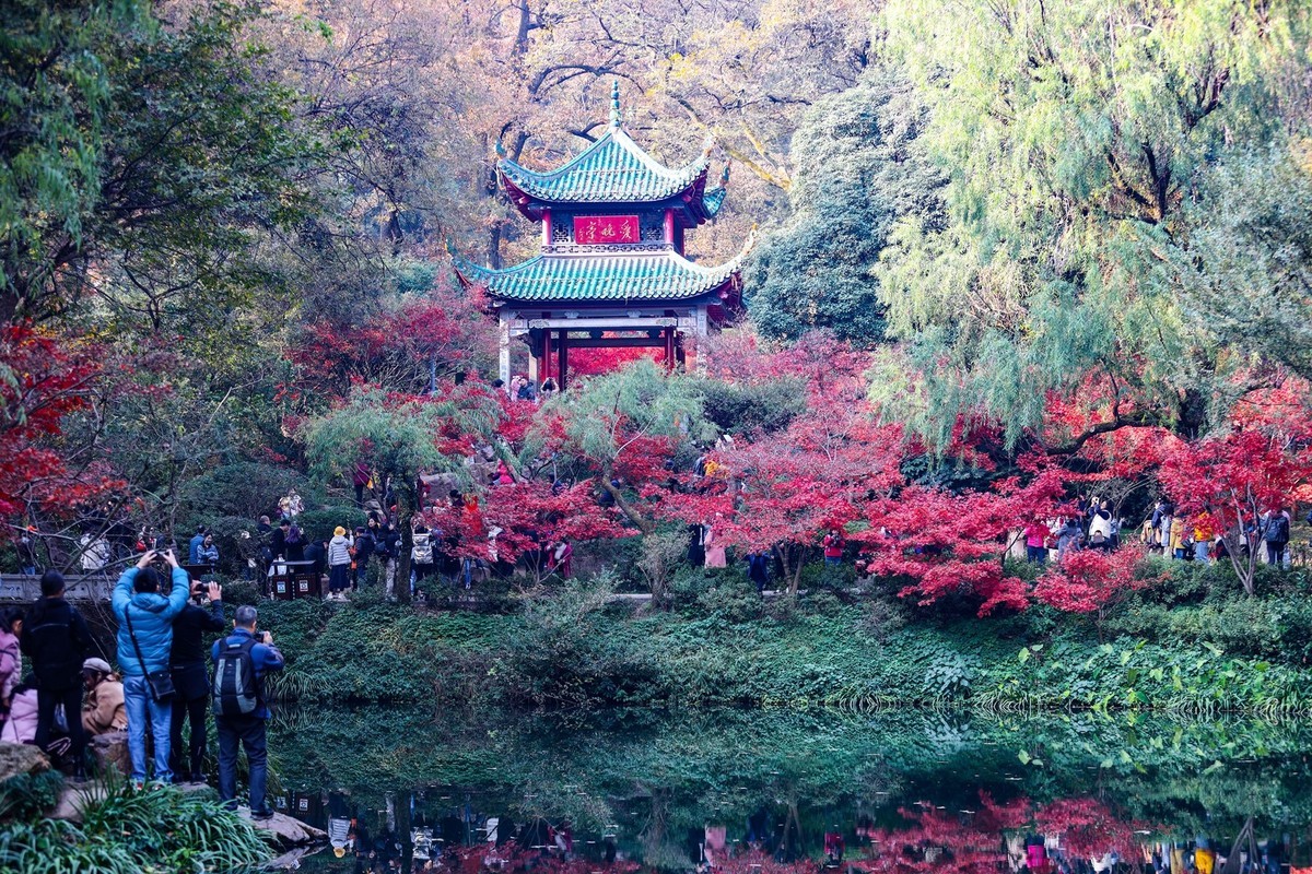 霜叶红于二月花--爱晓亭