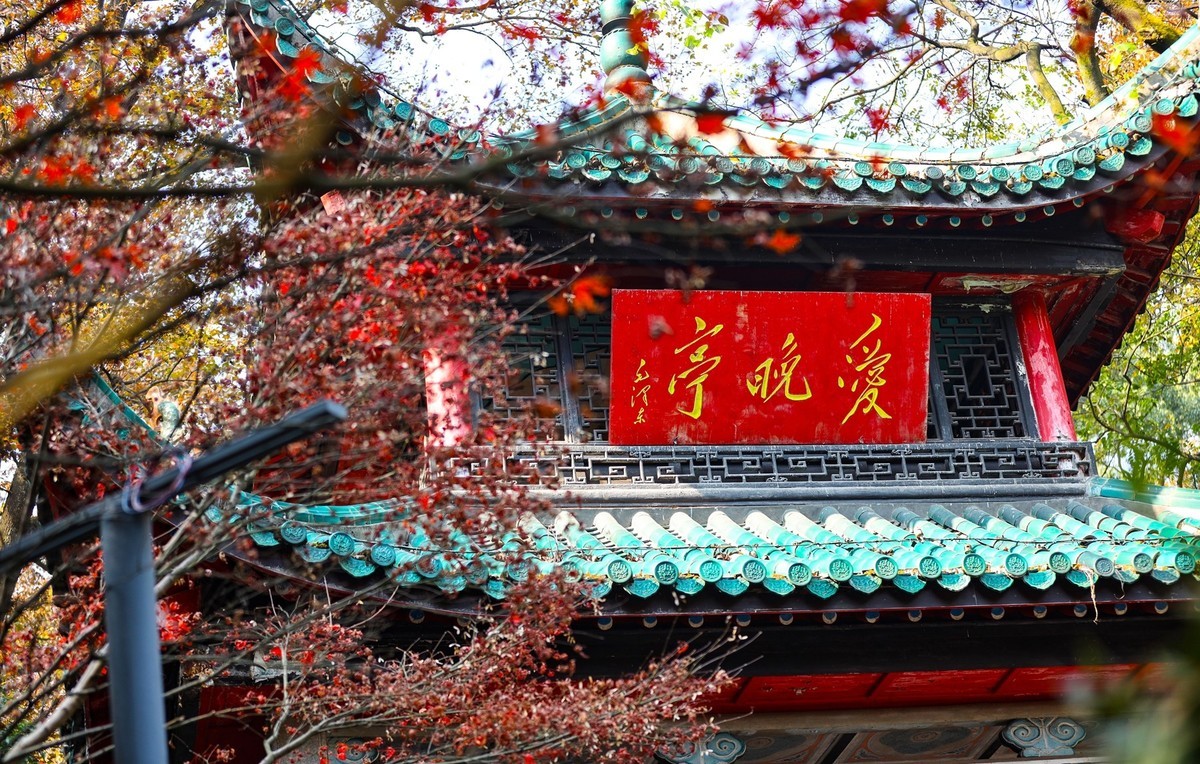 霜叶红于二月花--爱晓亭