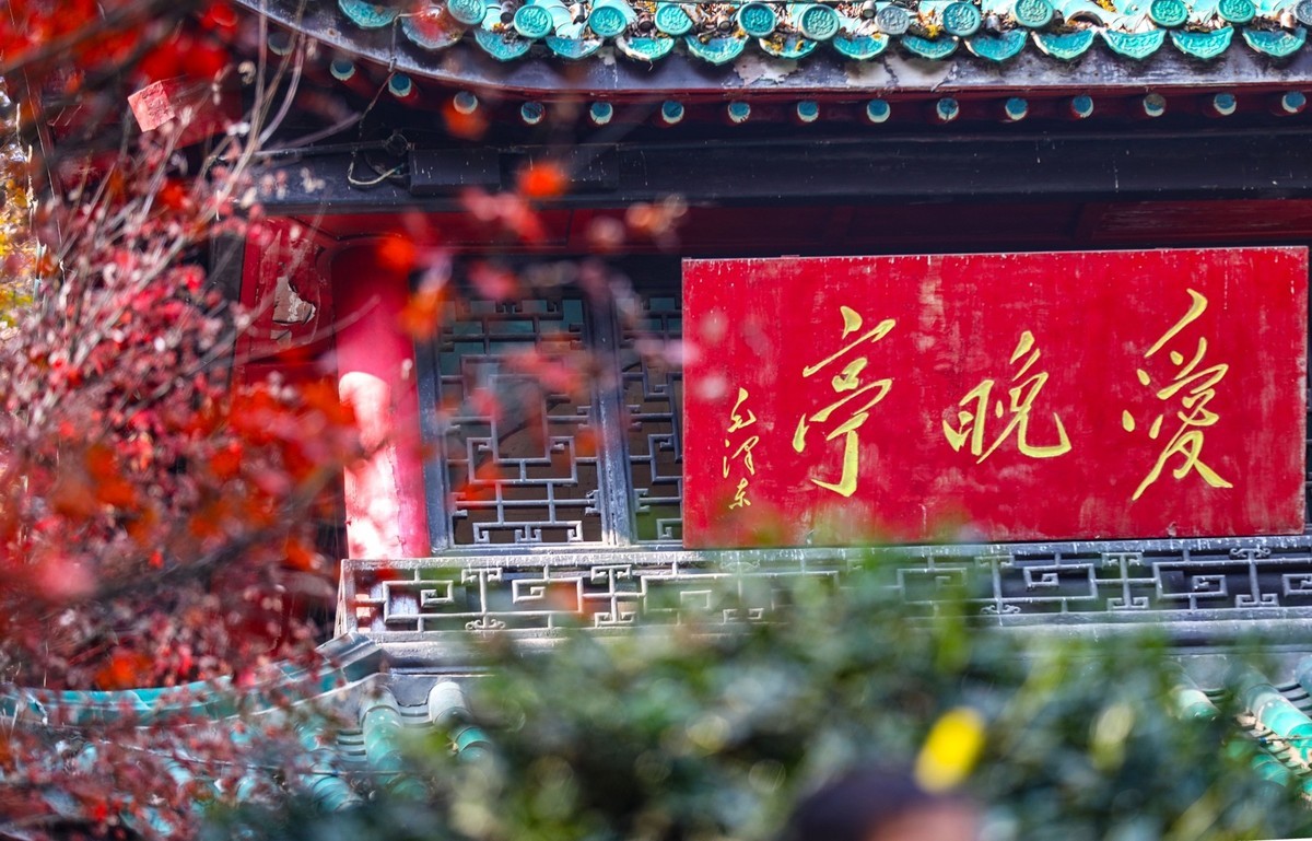 霜叶红于二月花--爱晓亭