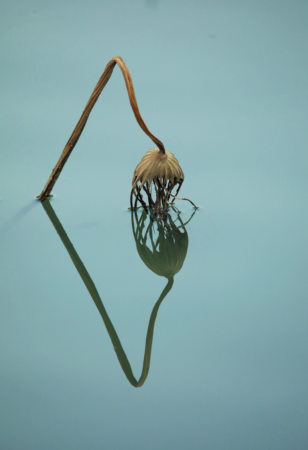 残荷