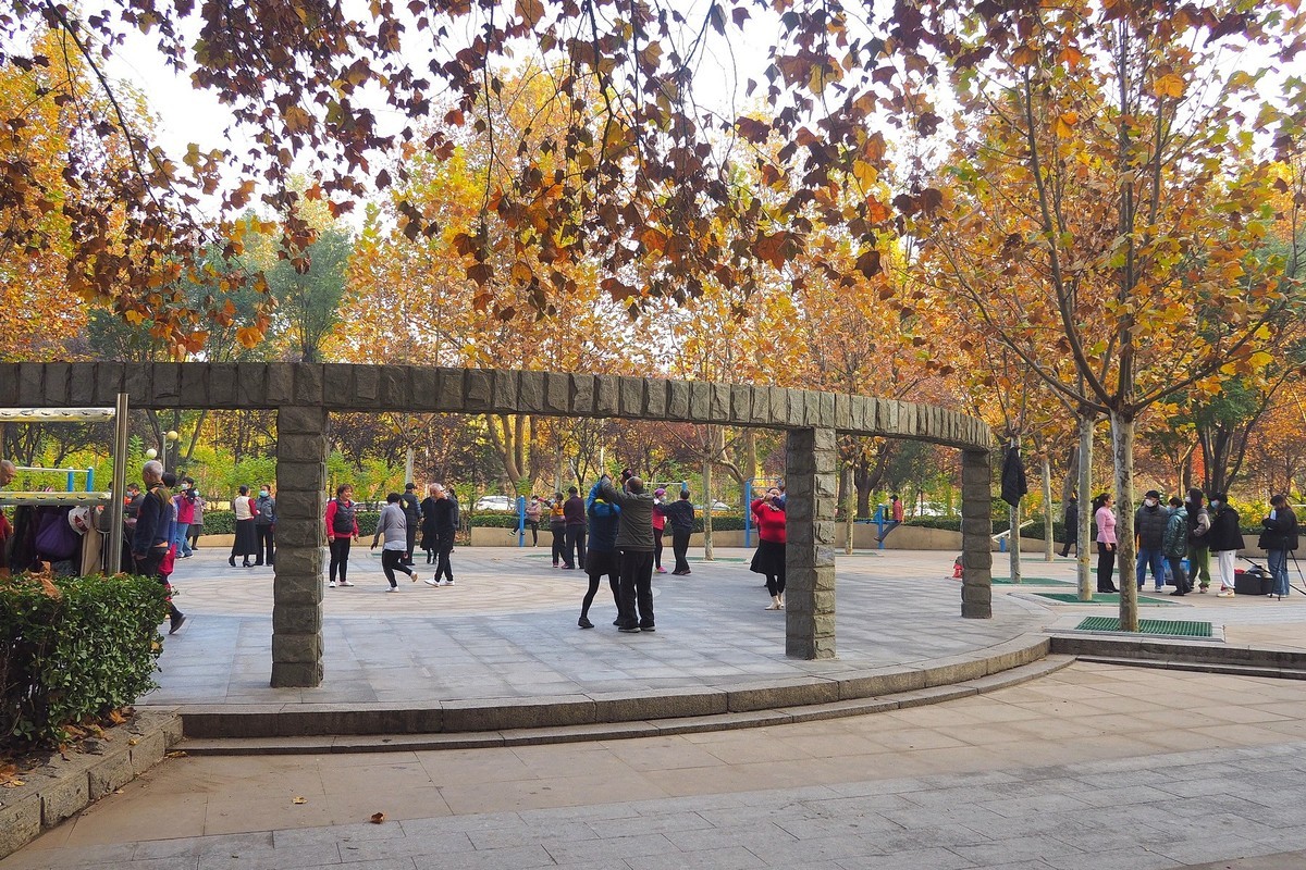 深秋里的薇波公园