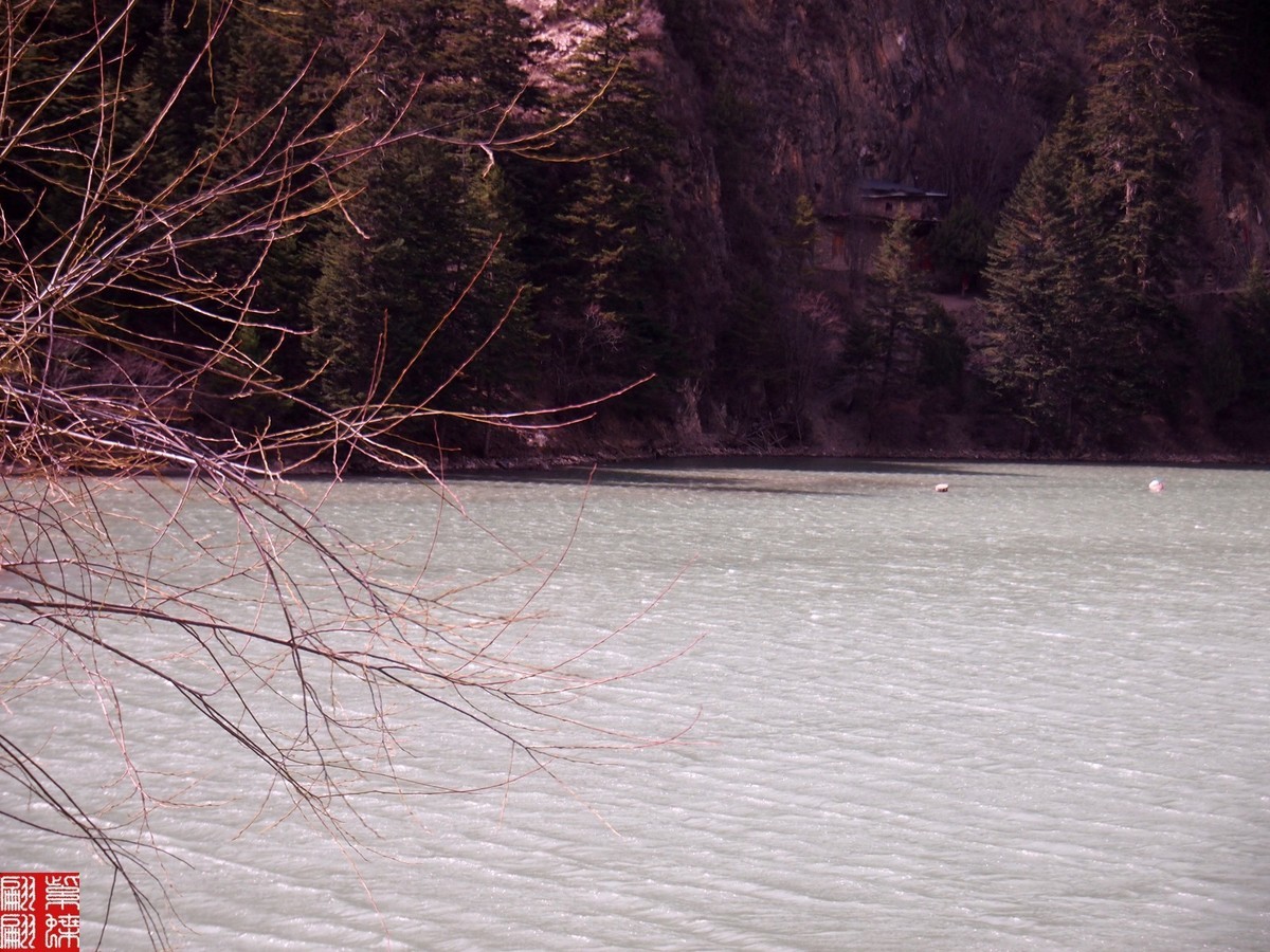 2022.3翻越夹金山之美景（21）