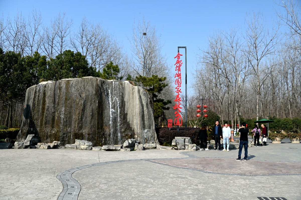 庐州印记（249）一组小景恭贺鹤乡郎中老师荣膺合肥星空(中国)版主