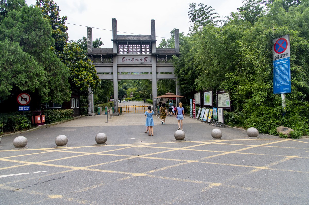 庐州印记（249）一组小景恭贺鹤乡郎中老师荣膺合肥星空(中国)版主