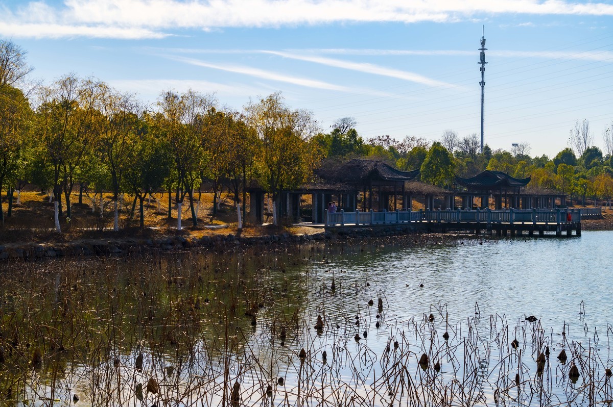 庐州印记（249）一组小景恭贺鹤乡郎中老师荣膺合肥星空(中国)版主