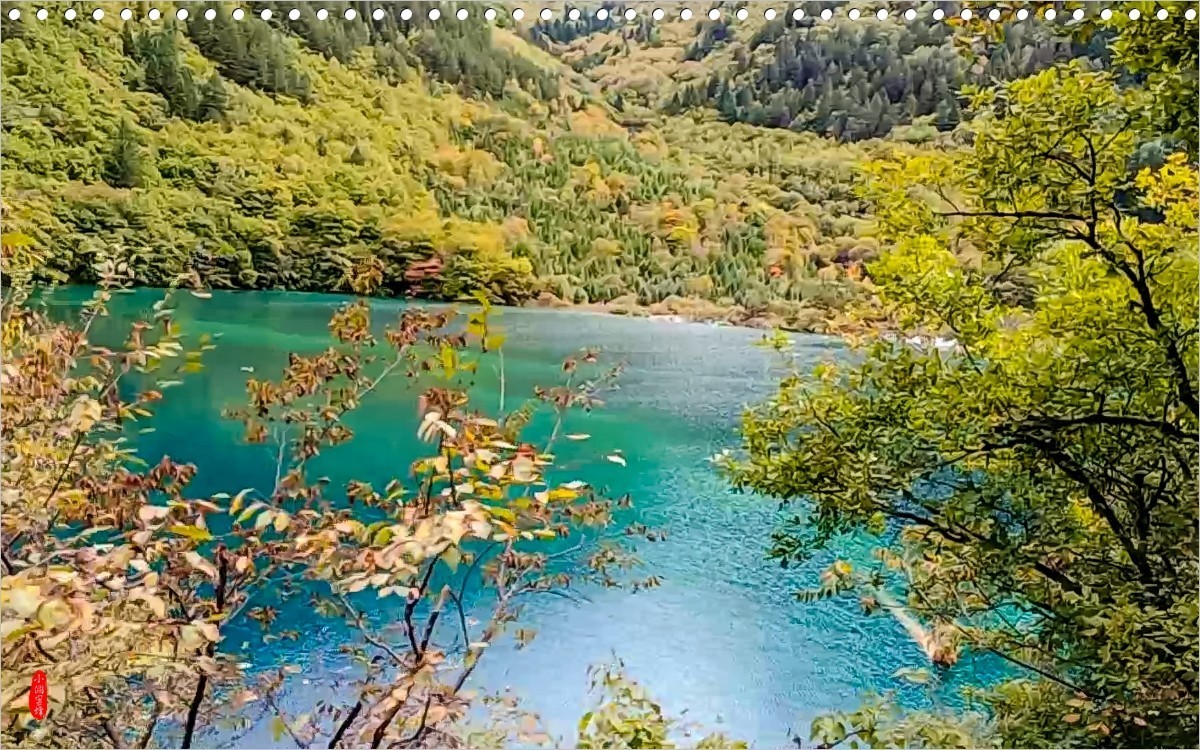 2022年九寨沟随拍-43