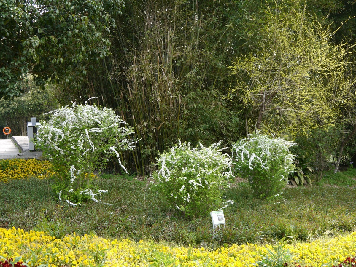 江南行之杭州篇--走进西溪国家湿地公园（2）