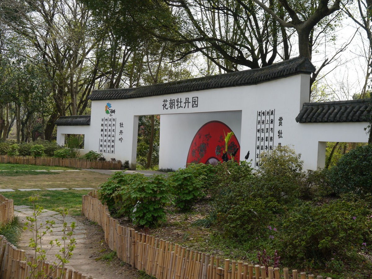 江南行之杭州篇--走进西溪国家湿地公园（3）