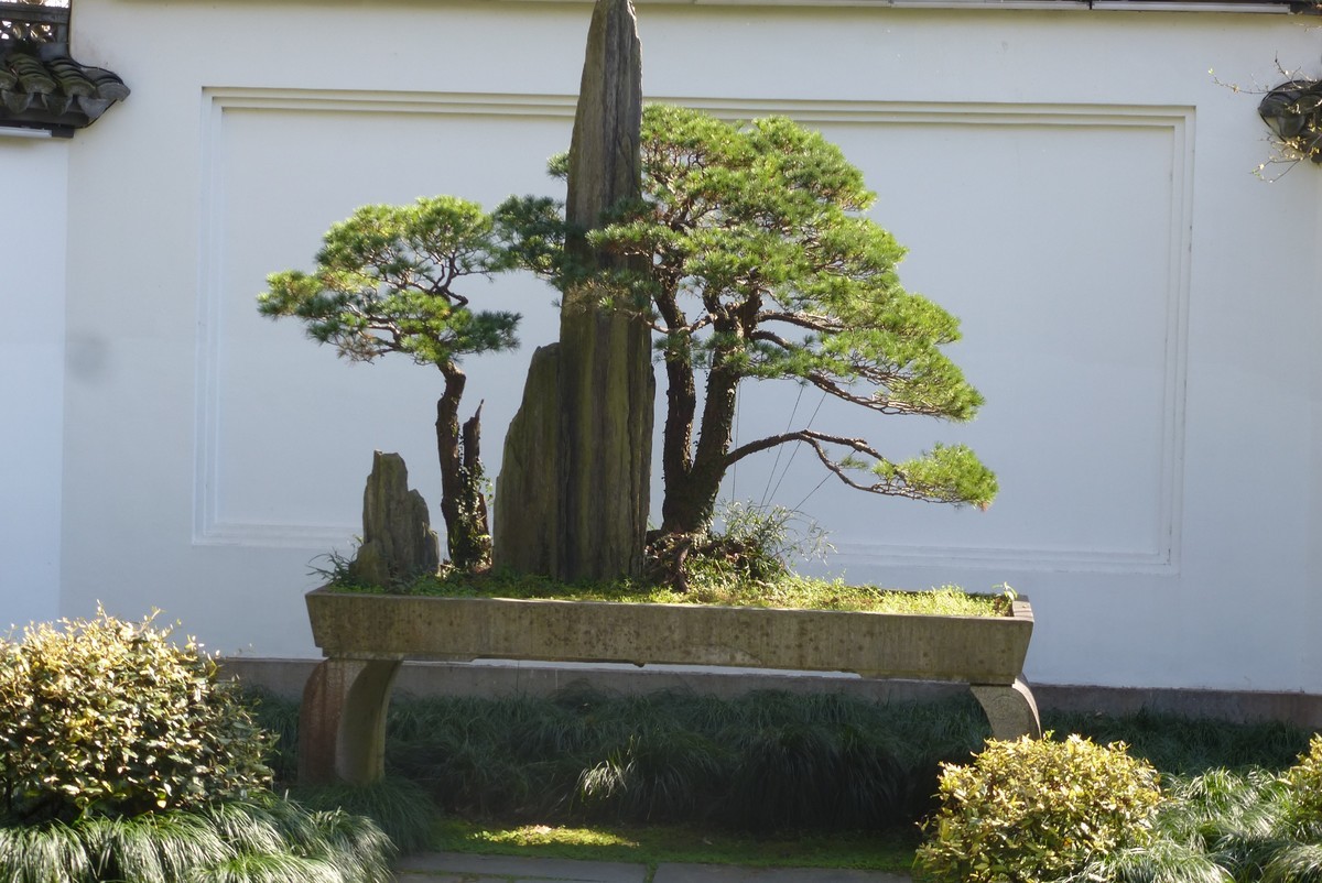 江南行之杭州篇--西湖即景（2）