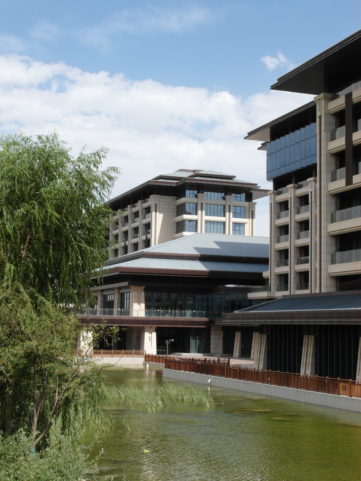 城市里的绿色心情