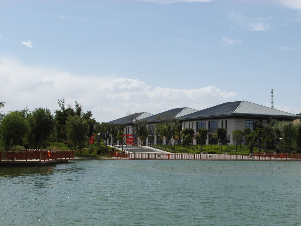 城市里的绿色心情