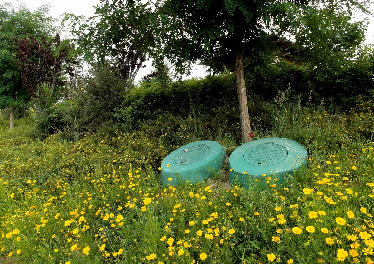 城市里的绿色心情