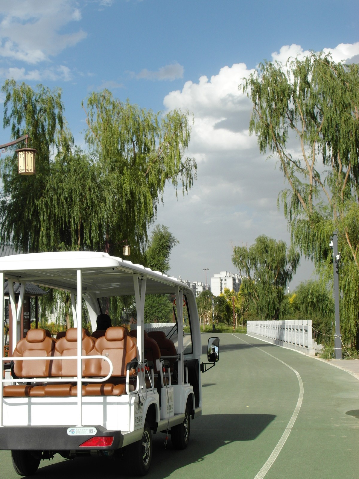 城市里的绿色心情