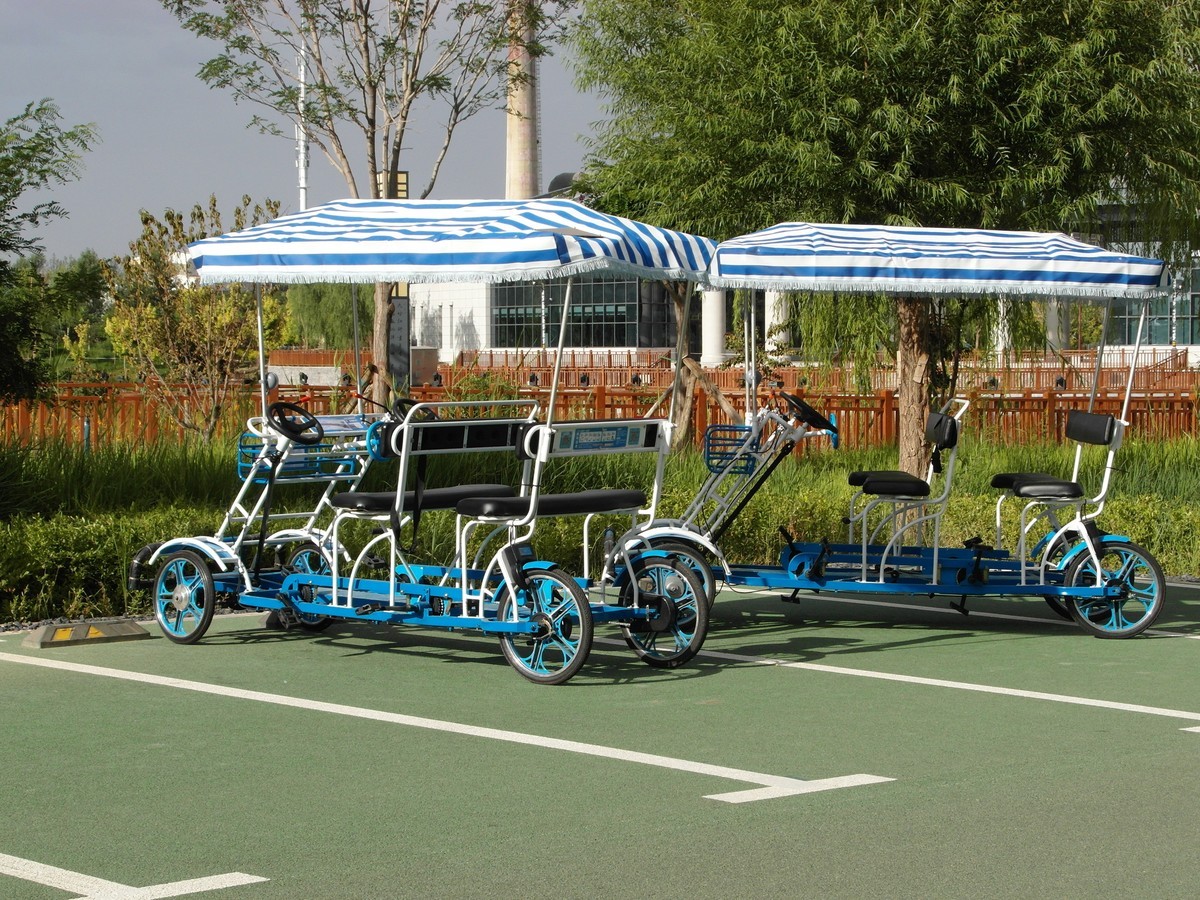 城市里的绿色心情