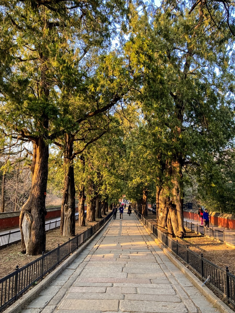 2023年-风光纪实拍集锦-798