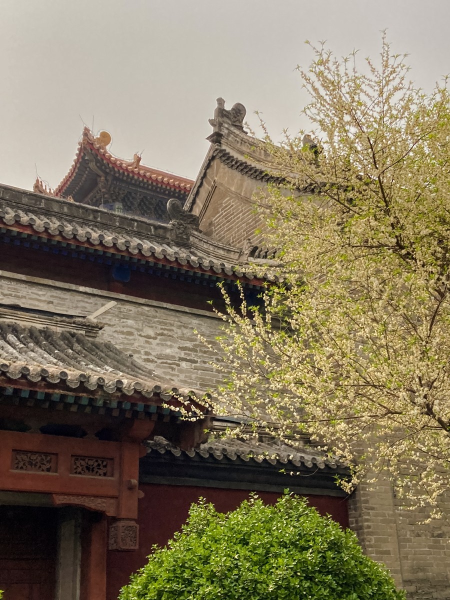 2023年-风光纪实拍集锦-798