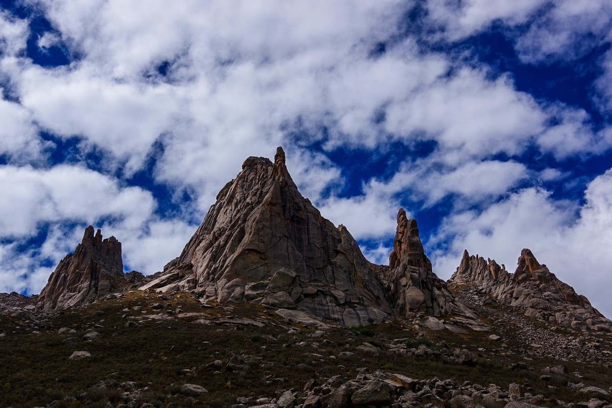 宾得K70拍莲宝叶则