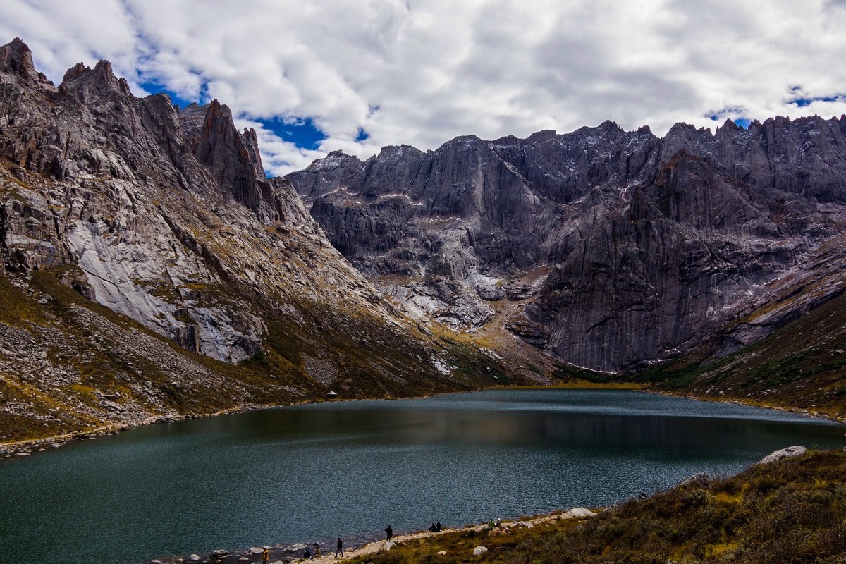 宾得K70拍莲宝叶则