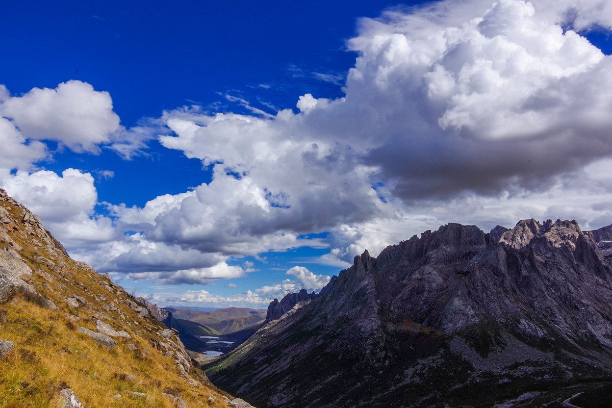 宾得K70拍莲宝叶则