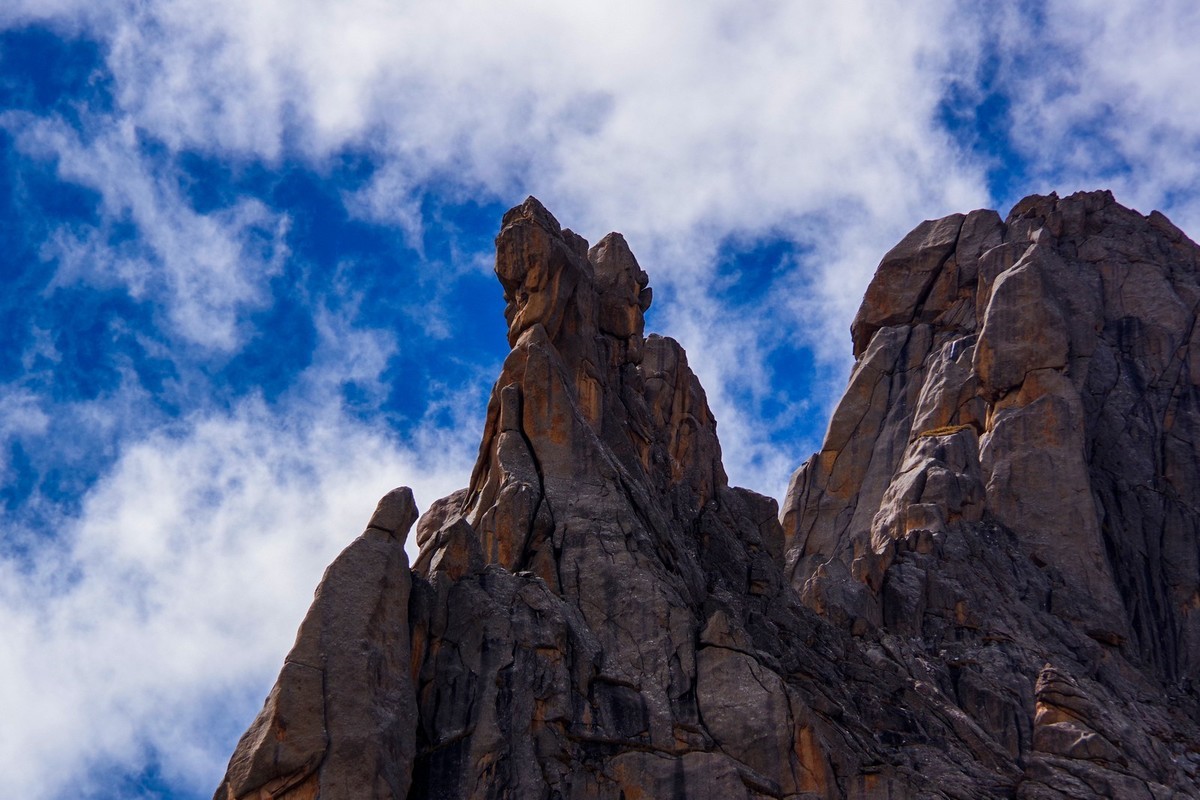 宾得K70拍莲宝叶则