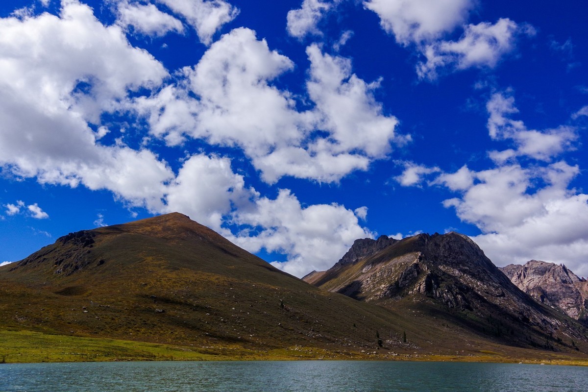 宾得K70拍莲宝叶则