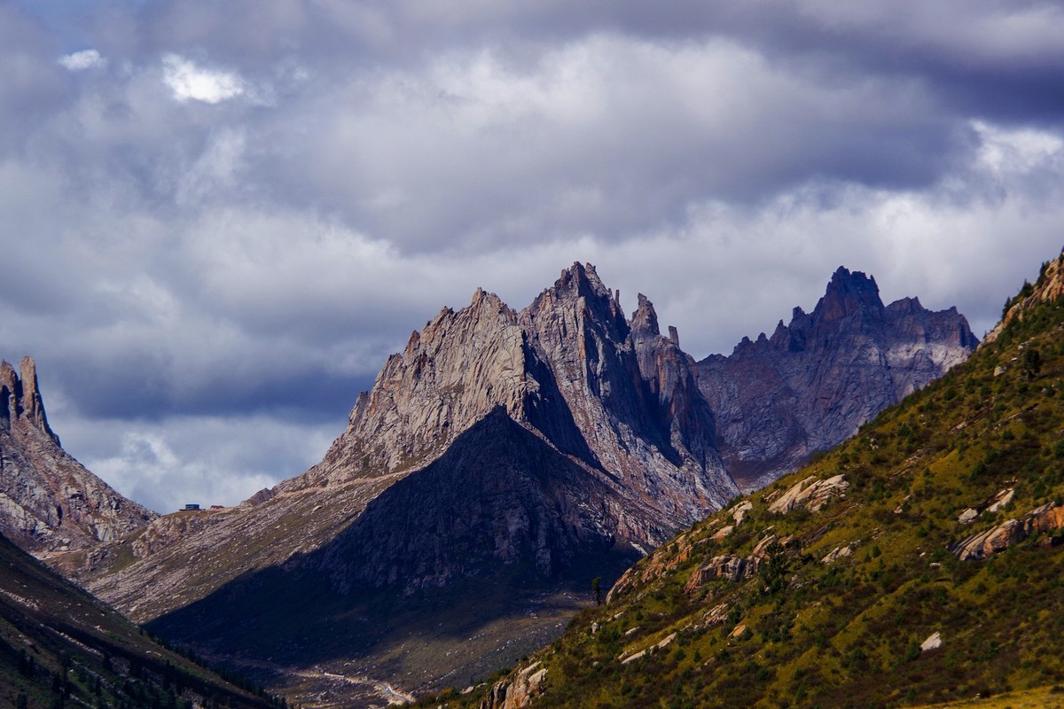 宾得K70拍莲宝叶则