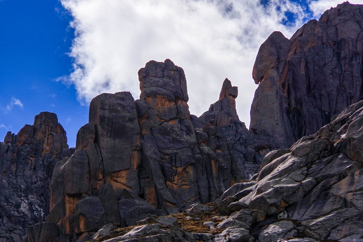 宾得K70拍莲宝叶则