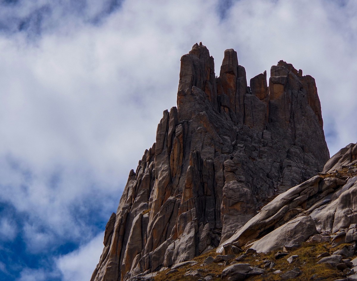 宾得K70拍莲宝叶则