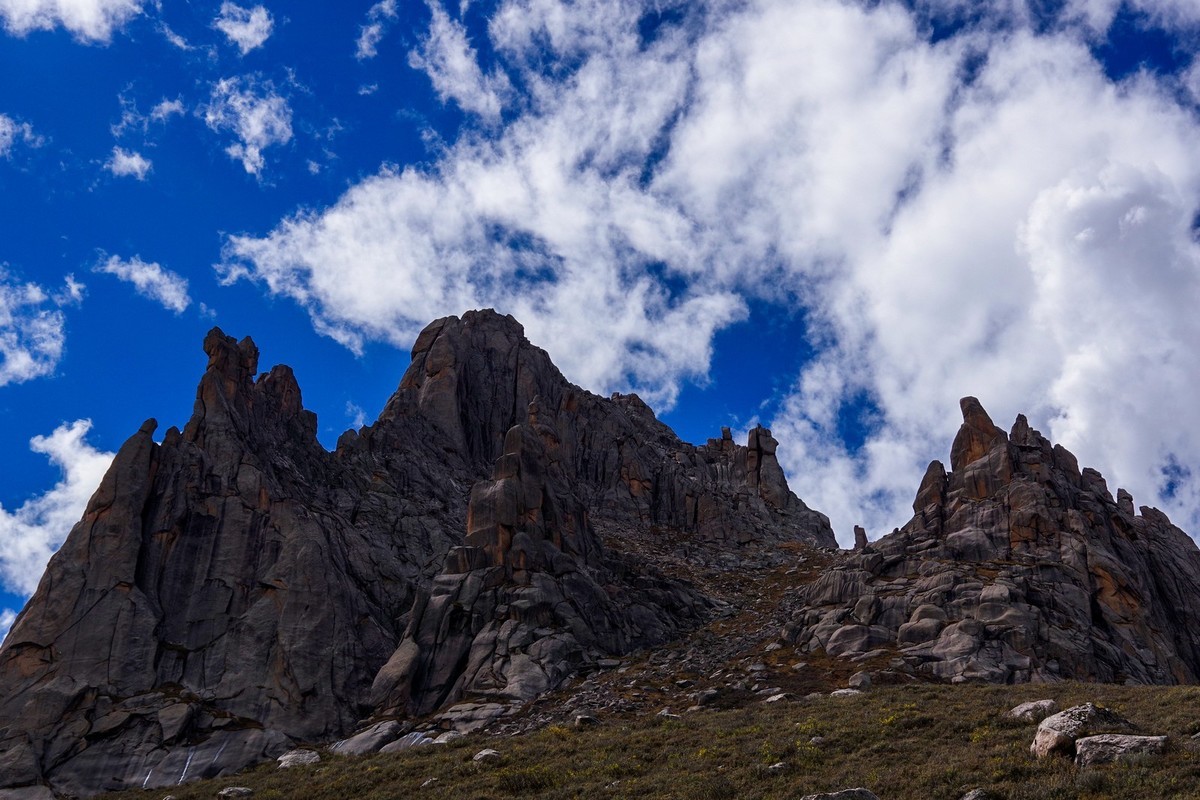 宾得K70拍莲宝叶则