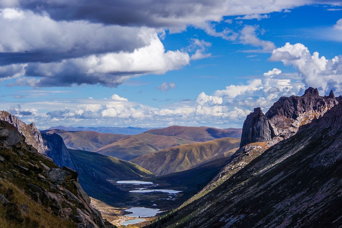 宾得K70拍莲宝叶则