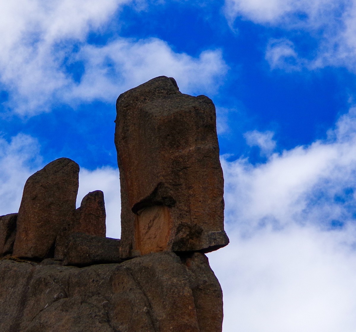 宾得K70拍莲宝叶则