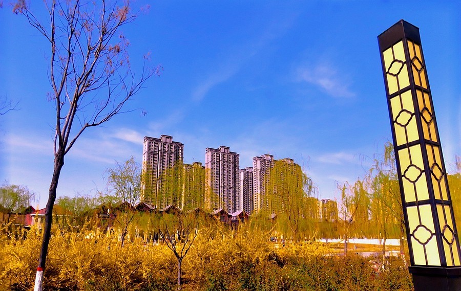 《不老松：纪实摄影》大美沧州系列報道：春韵沧州！(2)