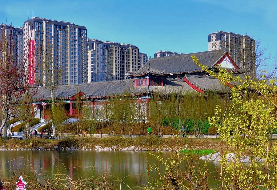 《不老松：纪实摄影》大美沧州系列報道：春韵沧州！(2)