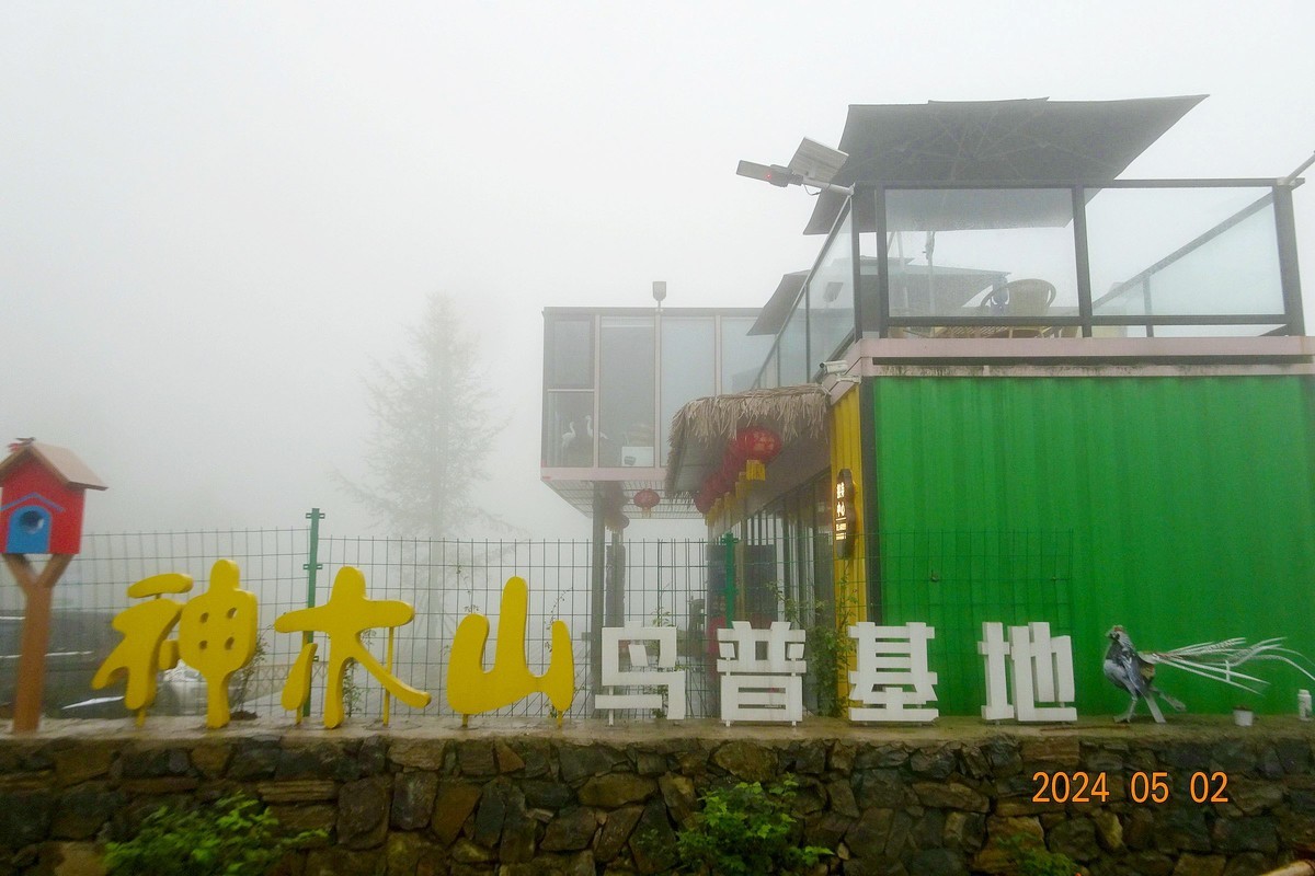 沐川拍鸟遗憾