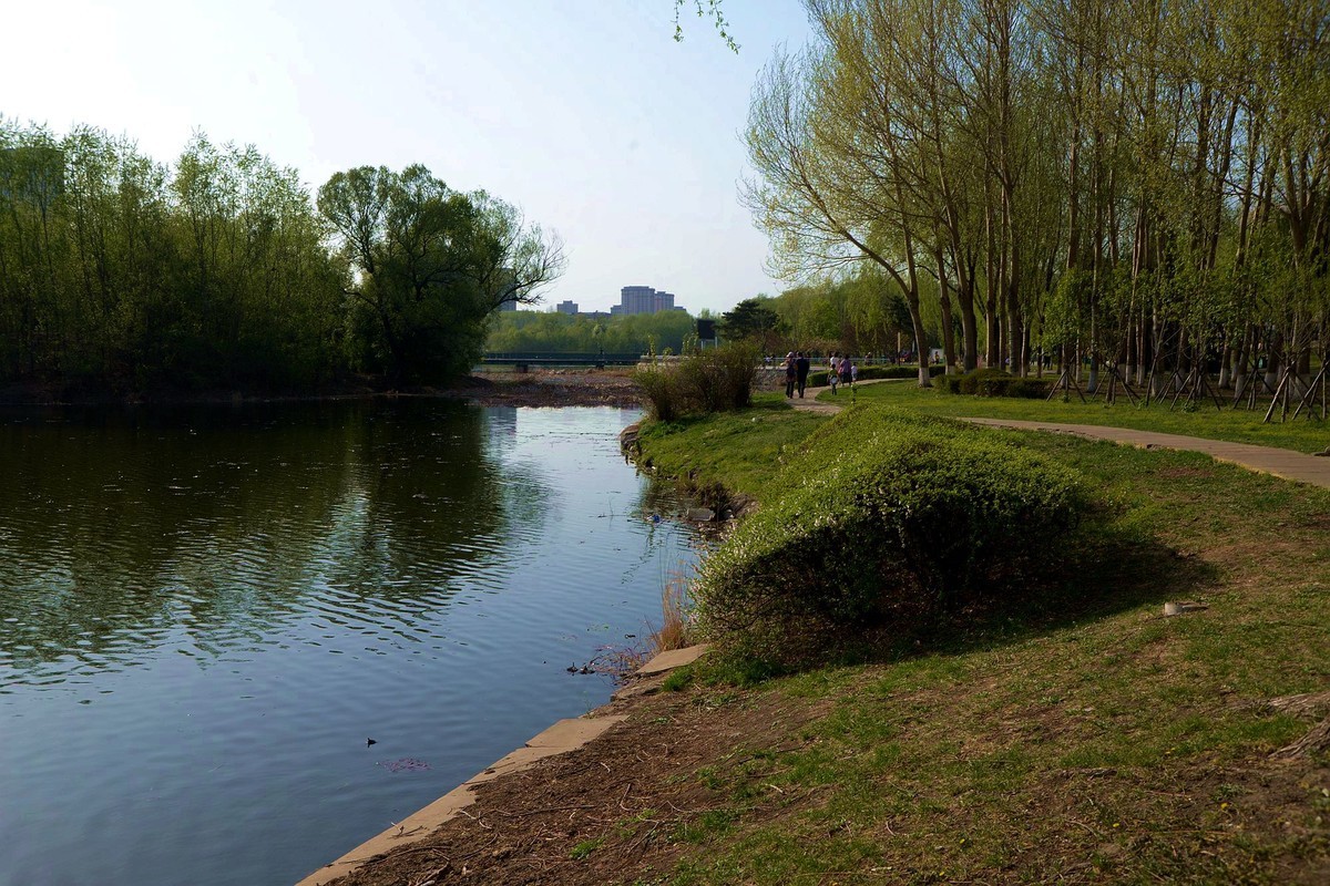 夕阳余辉下的公园（1）