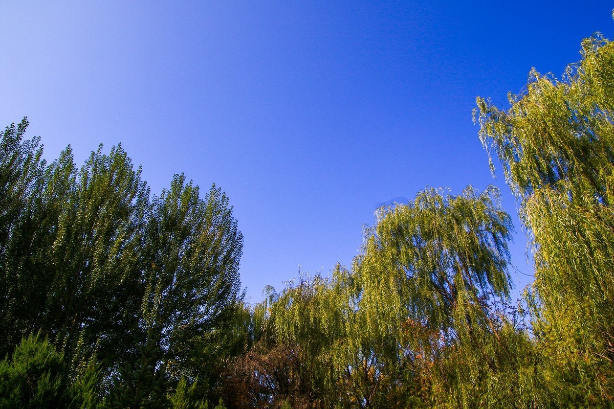 腾龙16-300这头可玩性不错的！