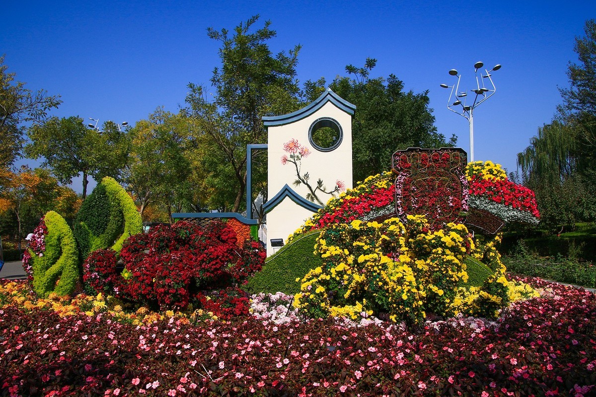 腾龙16-300这头可玩性不错的！