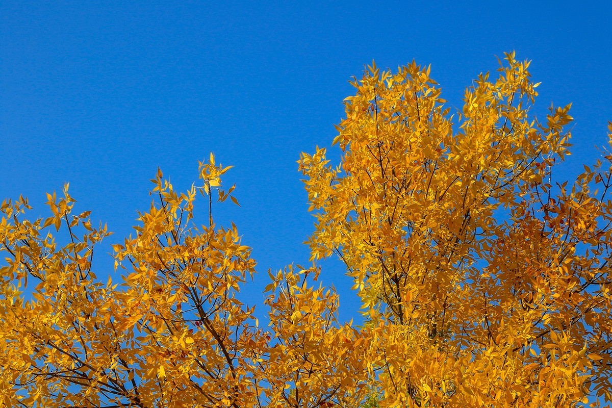 腾龙16-300这头可玩性不错的！