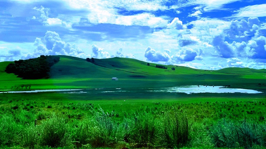 《不老松：纪实摄影》【山河锦绣】内蒙古：乌兰布统景！ (1)兰天、白云、青山、绿地！