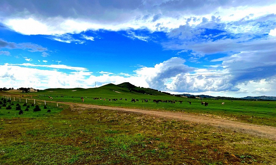 《不老松：纪实摄影》【山河锦绣】内蒙古：乌兰布统景！ (1)兰天、白云、青山、绿地！