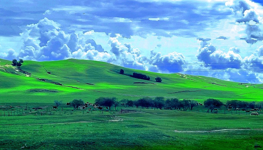 《不老松：纪实摄影》【山河锦绣】内蒙古：乌兰布统景！ (1)兰天、白云、青山、绿地！