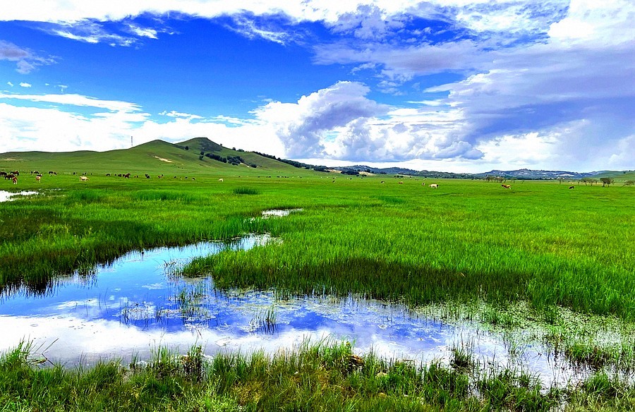 《不老松：纪实摄影》【山河锦绣】内蒙古：乌兰布统景！ (1)兰天、白云、青山、绿地！