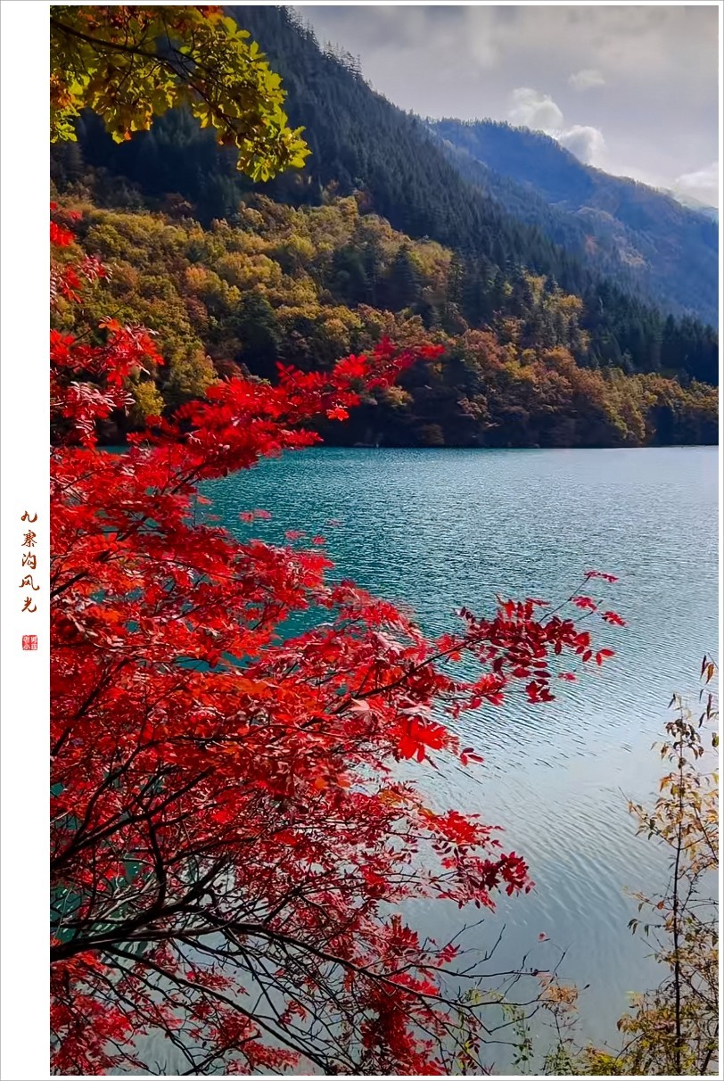 2024年九寨沟风光纪实抓拍1105