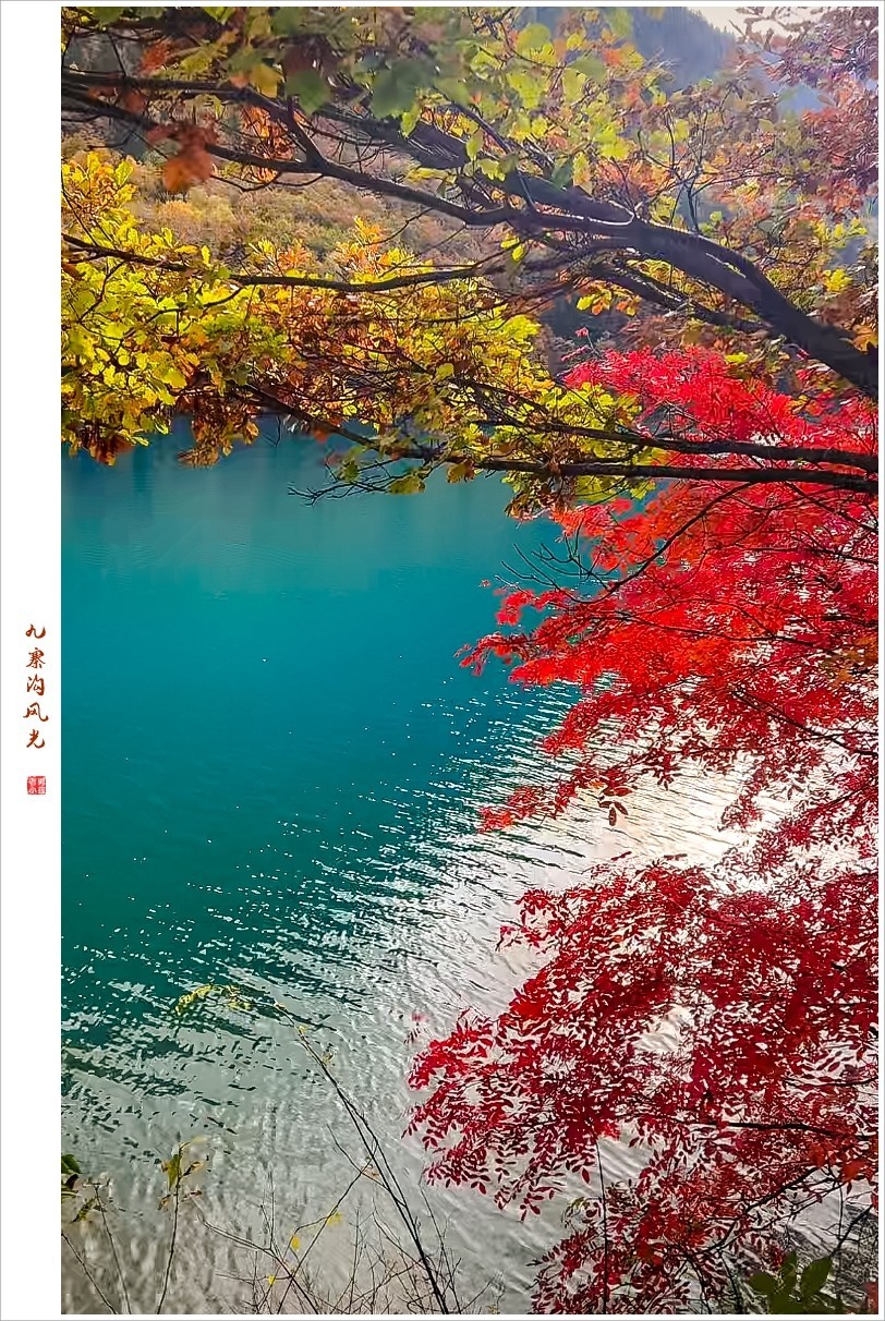 2024年九寨沟风光纪实抓拍1105