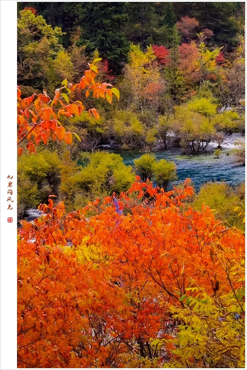 2024年九寨沟风光纪实抓拍1105