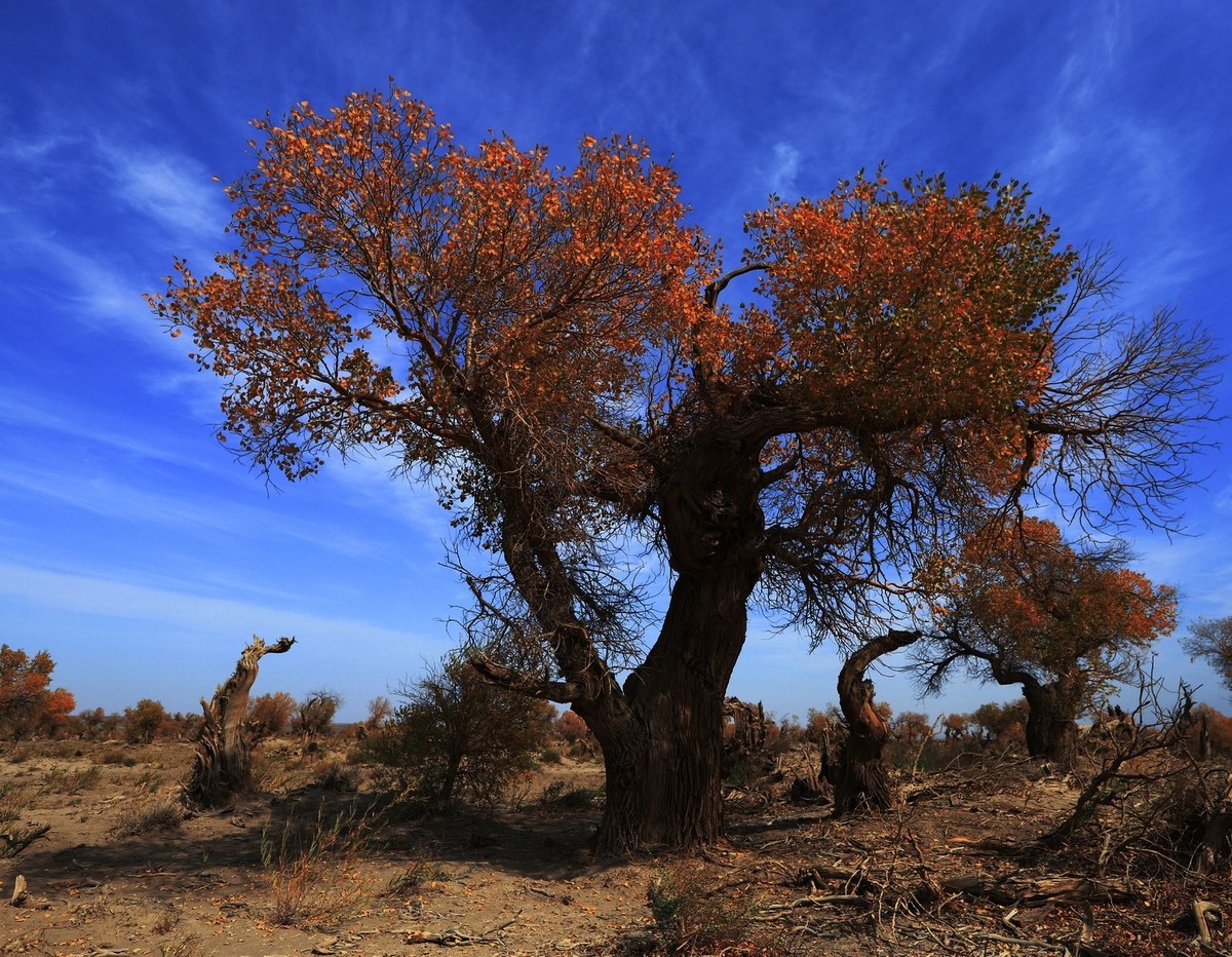 貌似进入了失落的世界（8）