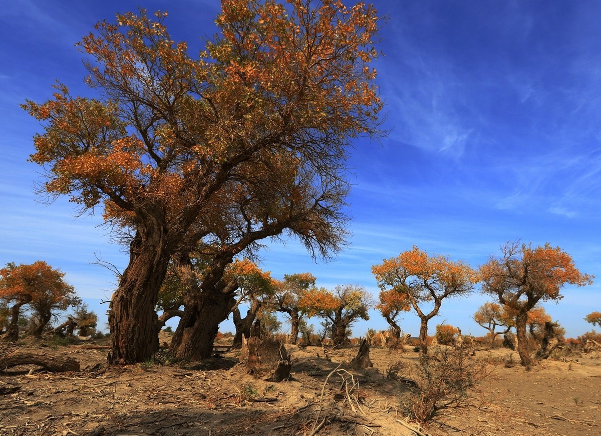貌似进入了失落的世界（8）