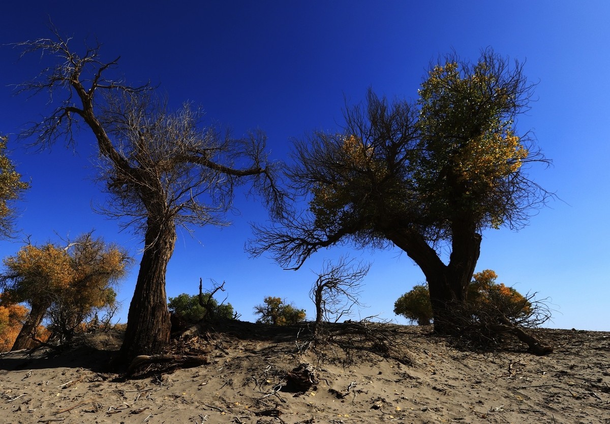 貌似进入了失落的世界（8）