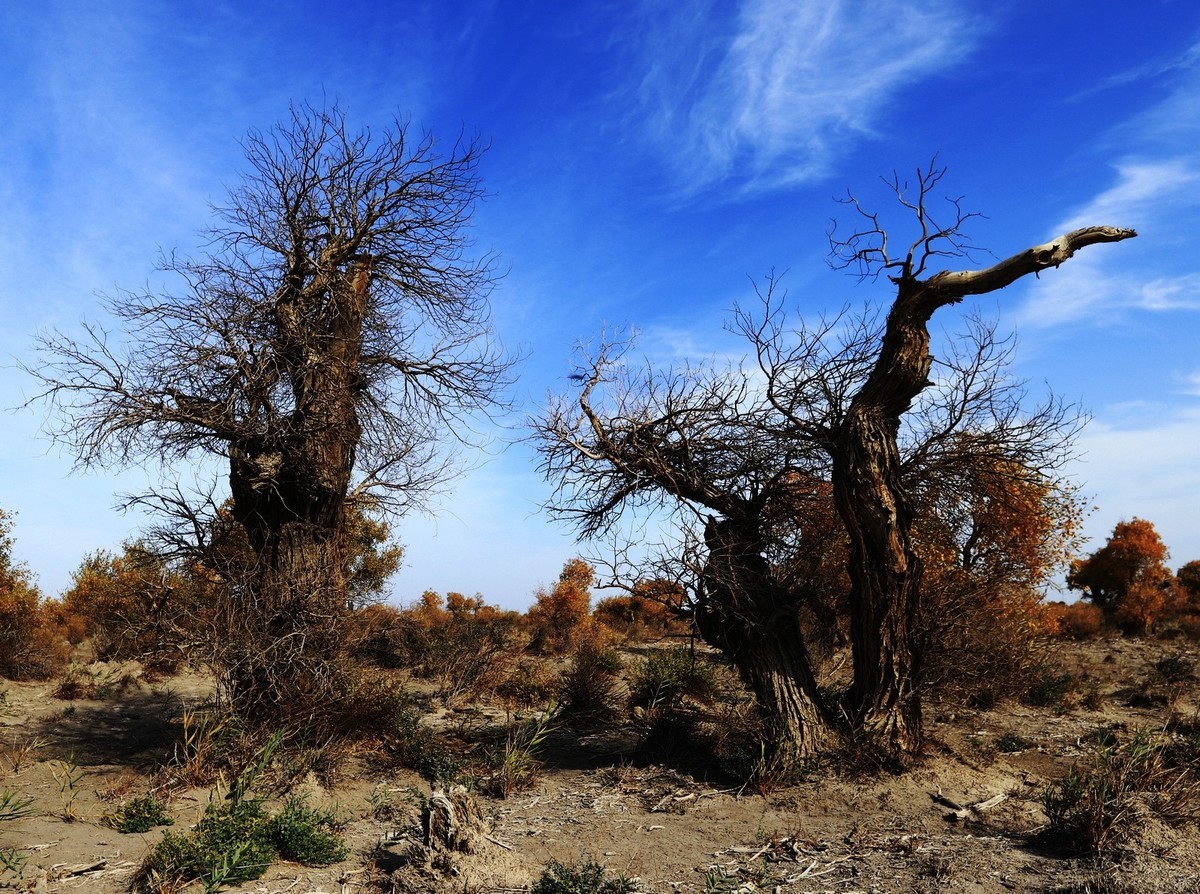 貌似进入了失落的世界（8）